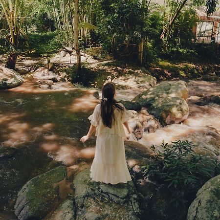 เดอะริเวอร์ แม่กำปอง The River Maekampong Chiang Mai Ban Pok Nai Dış mekan fotoğraf