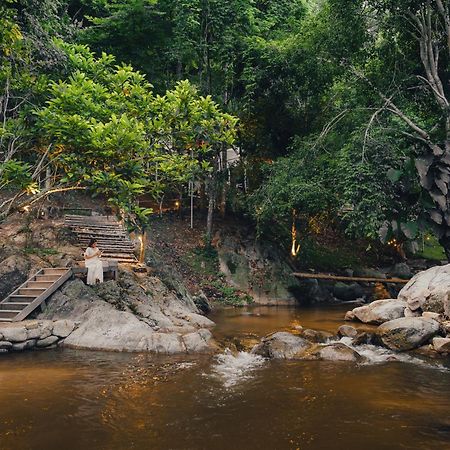 เดอะริเวอร์ แม่กำปอง The River Maekampong Chiang Mai Ban Pok Nai Dış mekan fotoğraf